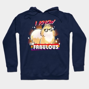 We are fabulous - Cute Pomeranian Dog - B*tch please - I know I'm fabulous Hoodie